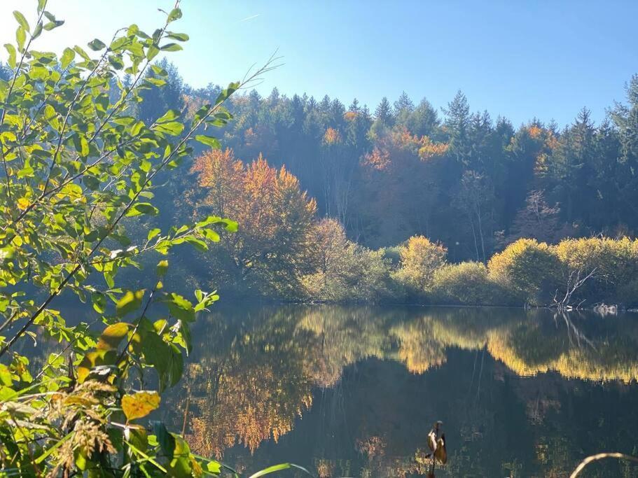 Apartment Charismatisch Und Gemuetlich In Guettingen, Nah Zum Buchensee Und Bodensee, Tolle Lage